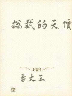 总裁的天价宠妻