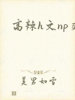 高辣h文np爽
