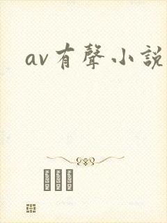 av有声小说
