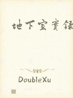 地下室实录封面