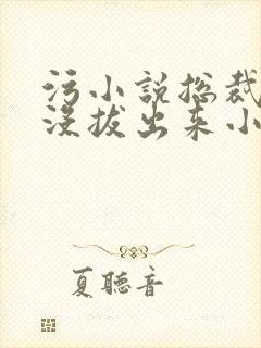 污小说总裁整夜没拔出来小说在线阅读