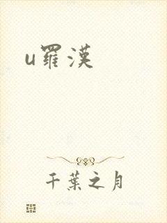 u罗汉封面