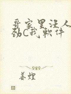 哥家里没人使点劲C我软件