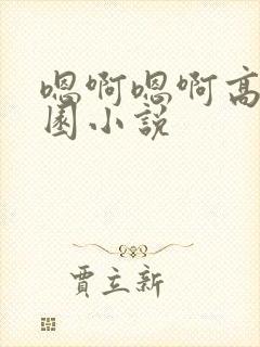 嗯啊嗯啊高h校园小说
