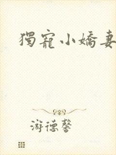 独宠小娇妻