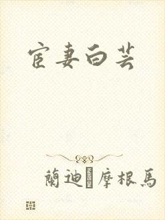 宦妻白芸封面