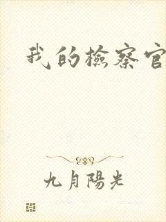 我的检察官先生