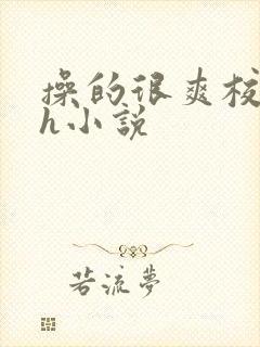 操的很爽校园高h小说