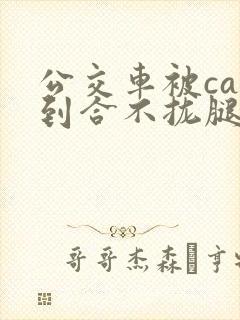 公交车被cao到合不拢腿视频