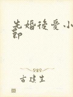 先婚后爱小说章节