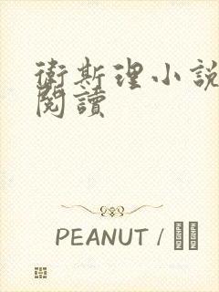 卫斯理小说在线阅读