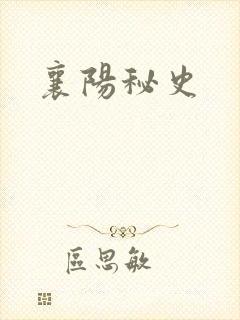 襄阳秘史