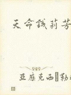 天命钱莉芳封面
