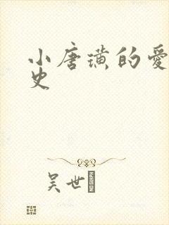 小唐璜的爱情历史封面