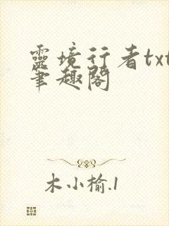 灵境行者txt笔趣阁封面