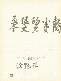 勇猛的小叔小说全文免费阅读