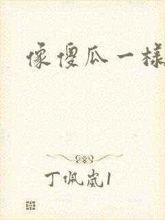 像傻瓜一样去爱封面