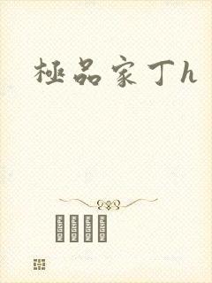 极品家丁h