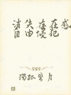 消失存在感消失自由侵犯封面