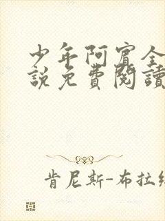 少年阿宾全文小说免费阅读笔趣阁封面