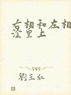 右相和左相一起淦皇上封面