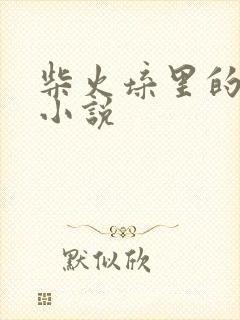 柴火垛里的疯狂小说