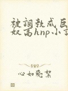 被调教成巨乳奶奴高hnp小说