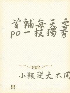 首辅每天要不够po一枝独秀全文封面