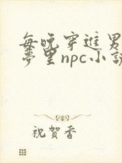 每晚穿进男神的梦里npc小说