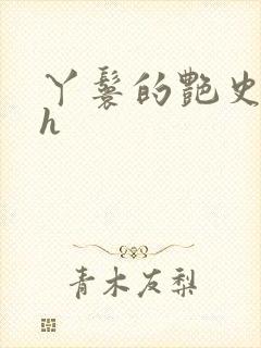 丫鬟的艳史nph封面