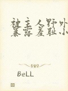 被主人野外调教暴露羞耻小说封面