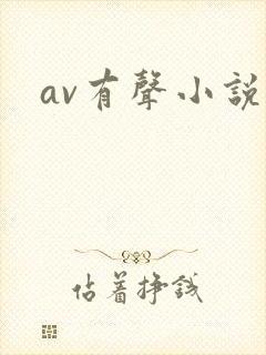 av有声小说封面