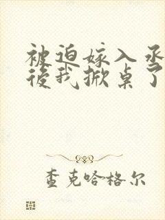 被迫嫁入丞相府后我掀桌了小说