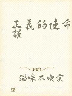 正义的使命 小说