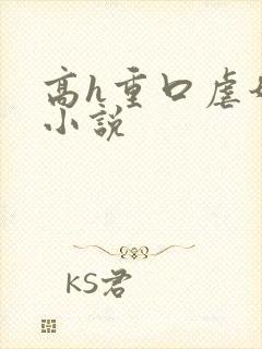 高h重口虐奶头小说封面