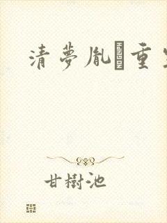 清梦胤礽重生封面