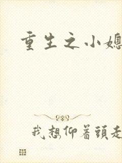 重生之小媳妇