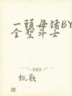 一头母猪BY黄金圣斗士