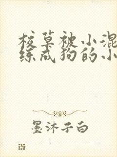 校草被小混混训练成狗的小说