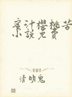 蜜汁樱桃苦咖啡小说免费封面