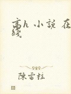 高h 小说 在线