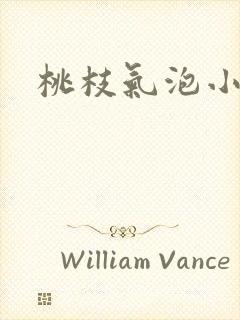 桃枝气泡小说