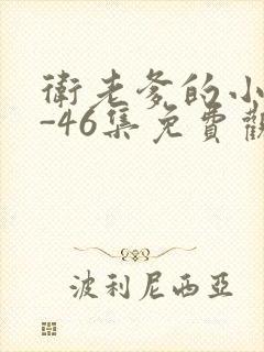 卫老爹的小船1-46集免费观看封面