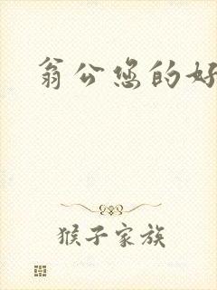 翁公您的好长呀封面