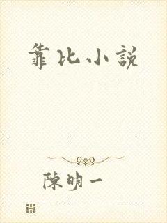 靠比小说封面