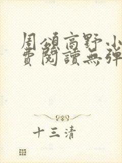 周颂商野小说免费阅读无弹窗