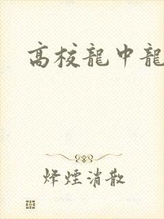 高校龙中龙