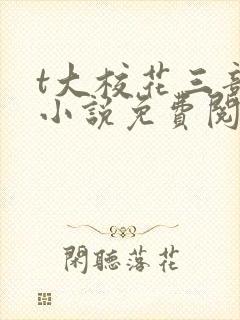 t大校花三部曲小说免费阅读全文封面