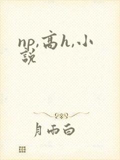 np,高h,小说封面