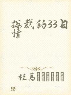 总裁的33日索情